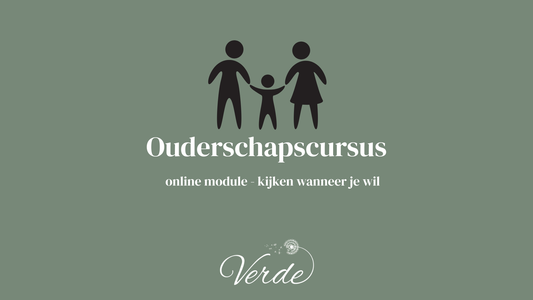 Ouderschapscursus online module